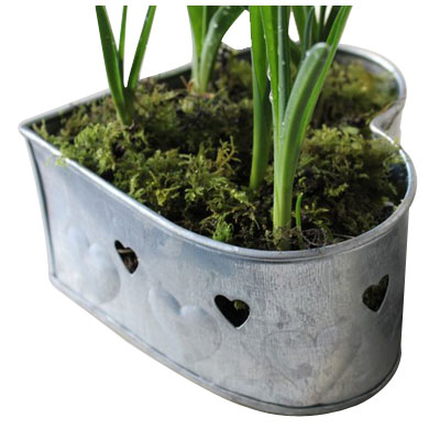 Aluminium Planters Manufacturers